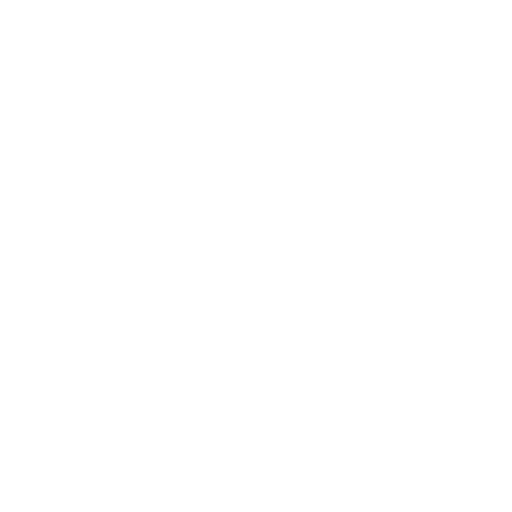 Animal, By-law and Encampments